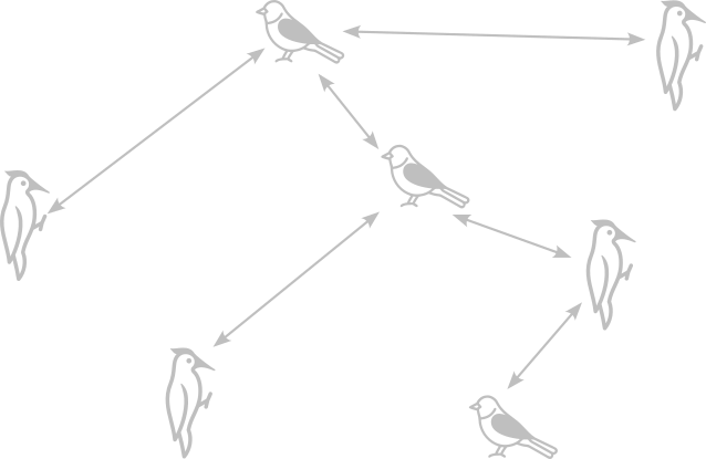 A visualisation of a wireless mesh ecosystem